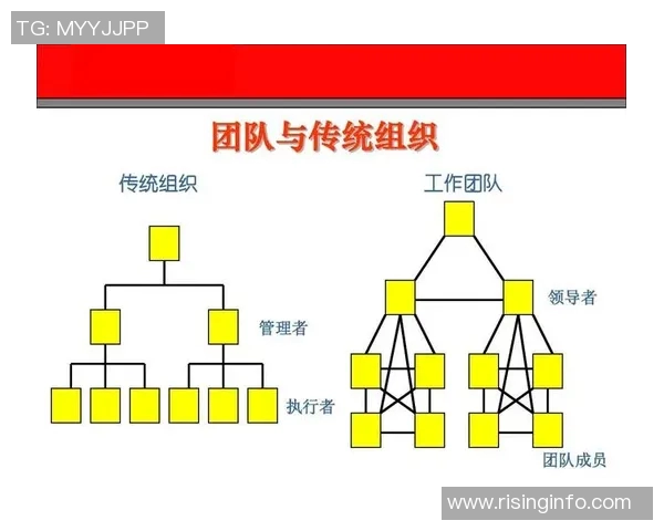 深圳乒乓球队在全国锦标赛中的团队协作表现分析与点评