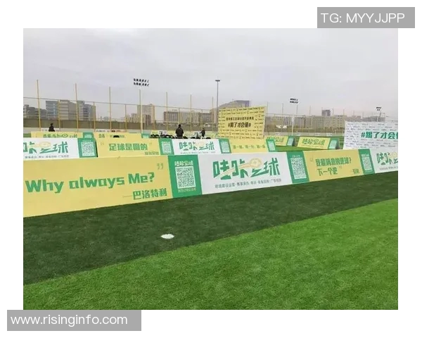 陈娜独家分享足球心得与技巧解析助你成为球场高手