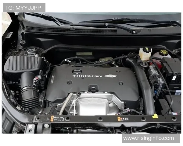 阿青年与福伦丹的激烈对决谁能在这场较量中笑到最后