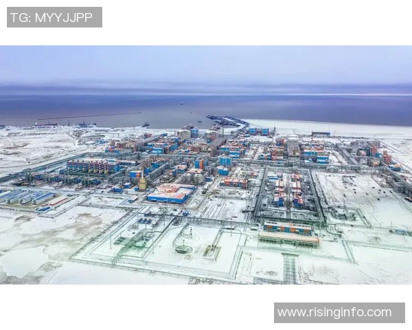 亚马尔地区的能源战略与全球气候变化的应对之道探讨