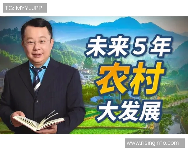 大田地铁与江陵发展对比探讨城市交通建设的未来方向与挑战