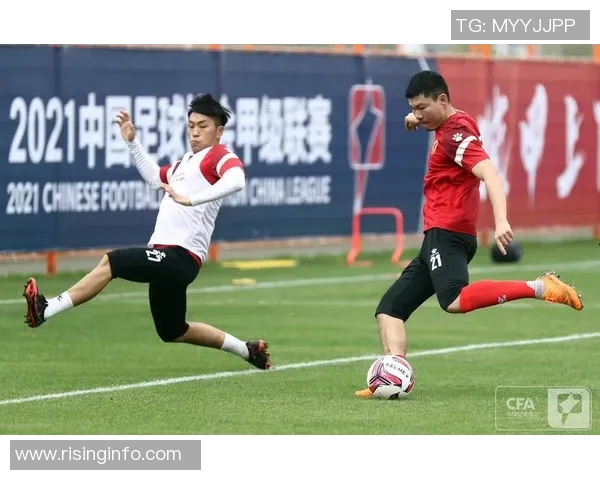 武汉足球队的奋斗历程与荣耀追寻:一段激情与坚持的纪实之旅