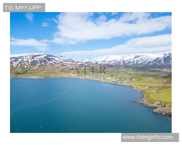 法国与冰岛激战回顾精彩瞬间全景解析与战术分析