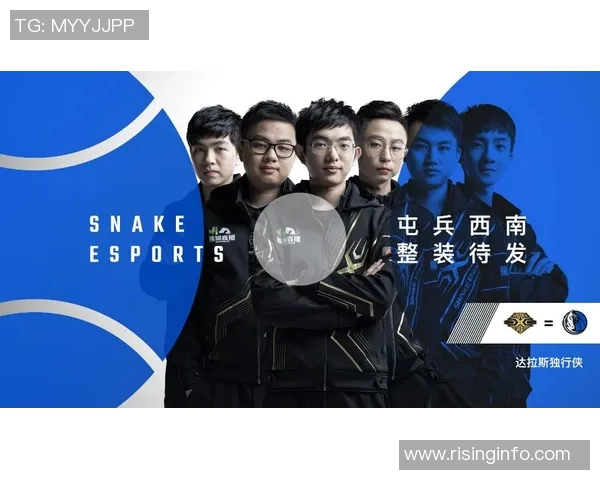 聚焦英雄联盟BLG战队团队协作的成功秘诀与挑战分析MBA