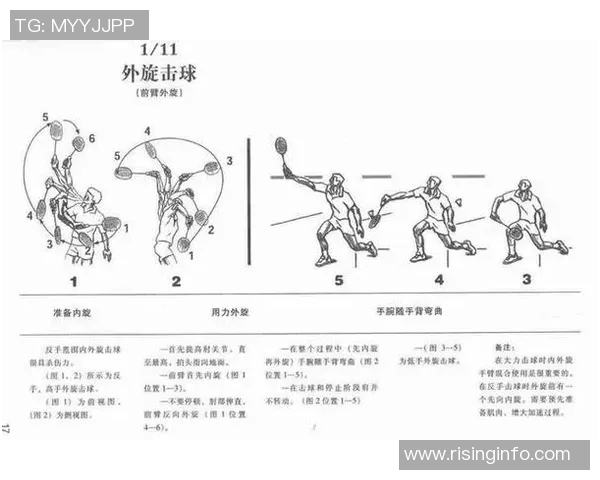 科学网球力量训练全攻略提升击球力量与技术的完美结合